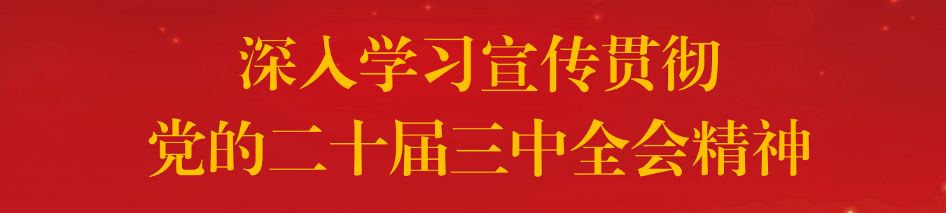 深入学习宣传贯彻党的二十届三中...