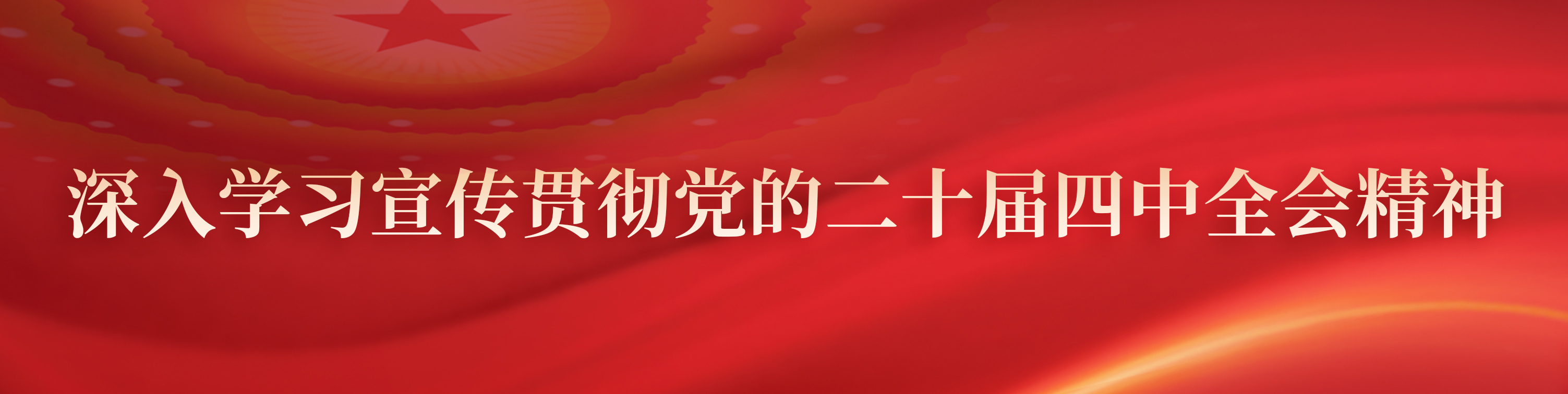 深入学习宣传贯彻党的二十届四中...